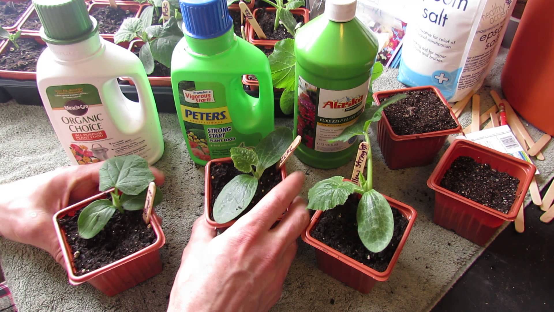 Кексы из конопли